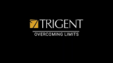 Trigent Software Inc