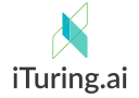 iTuring ai